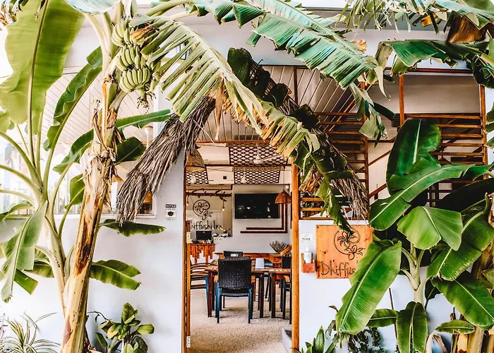 Dhiffushi Inn