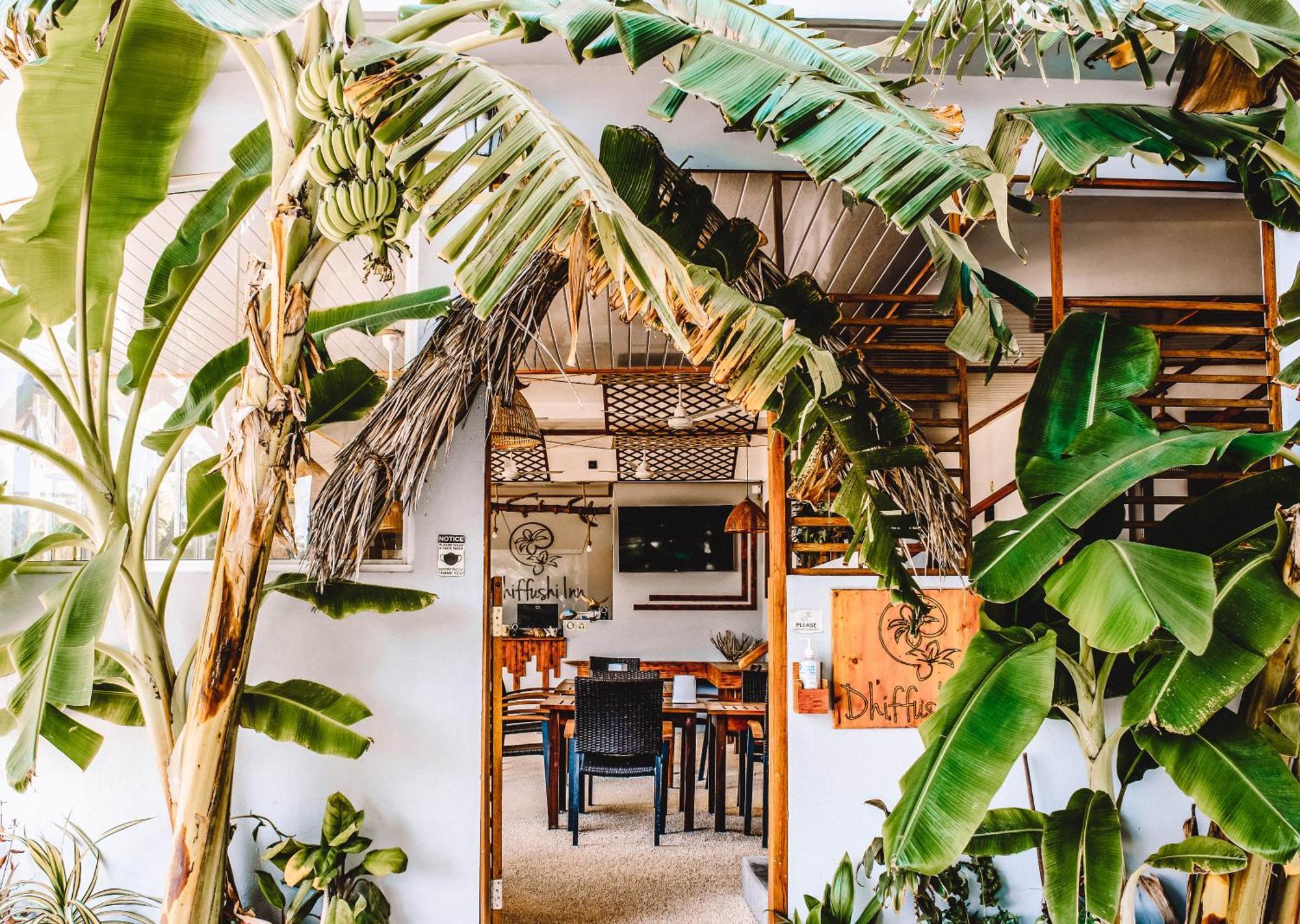 Dhiffushi Inn Maison d'hôtes Dhiffushi